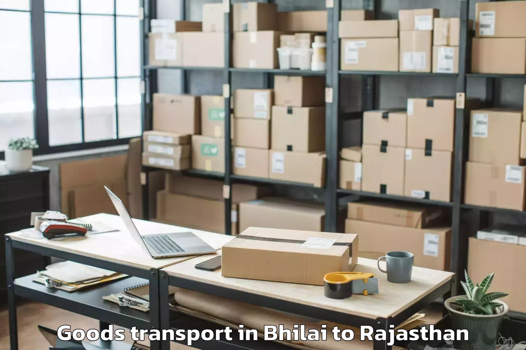 Affordable Bhilai to Hindoli Goods Transport